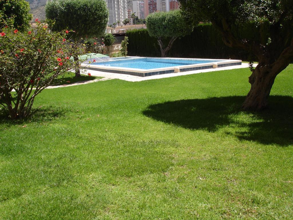 Los Olivos - Zand Properties Benidorm Rom bilde
