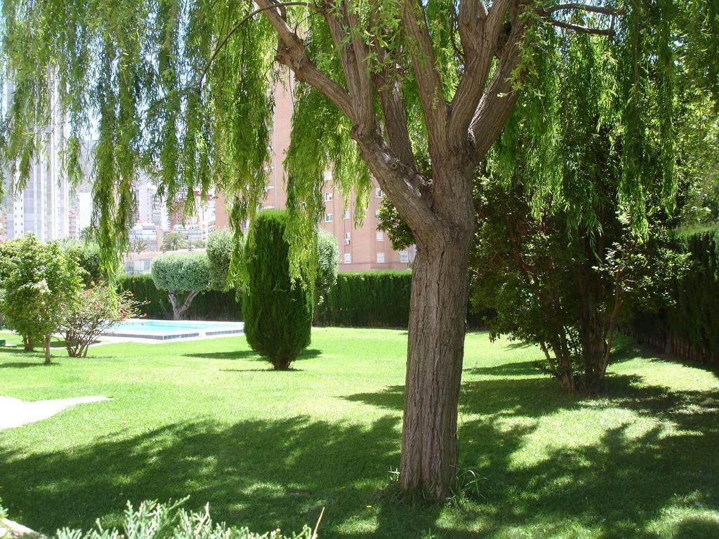 Los Olivos - Zand Properties Benidorm Rom bilde